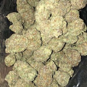 Meet your Posher, Jonah